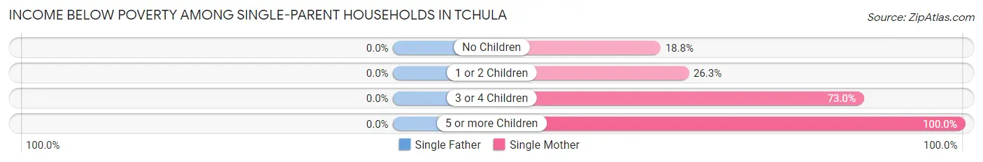 Income Below Poverty Among Single-Parent Households in Tchula