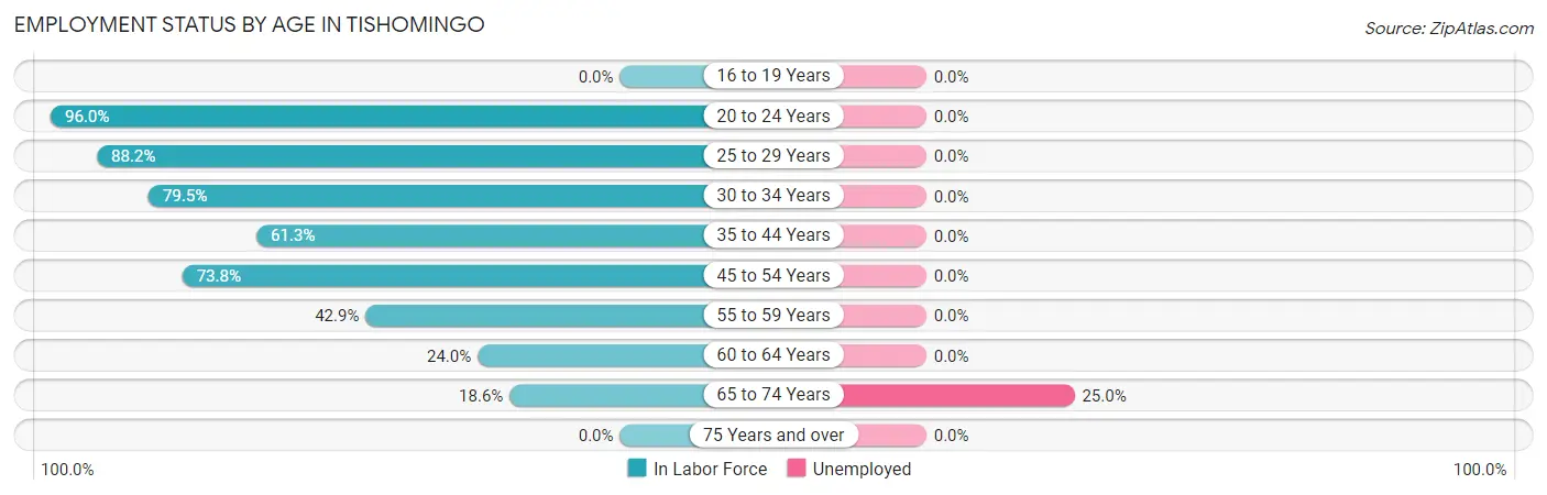 Employment Status by Age in Tishomingo