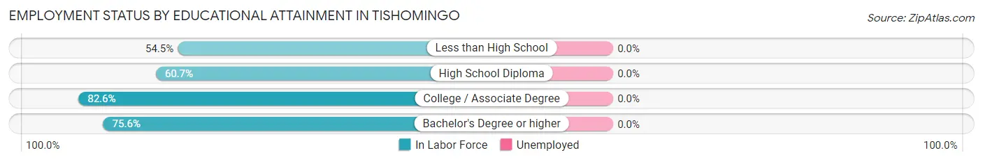 Employment Status by Educational Attainment in Tishomingo