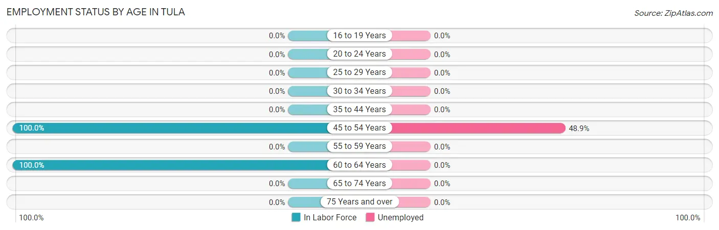 Employment Status by Age in Tula