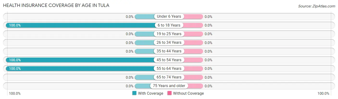 Health Insurance Coverage by Age in Tula