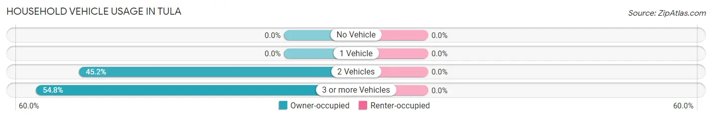 Household Vehicle Usage in Tula