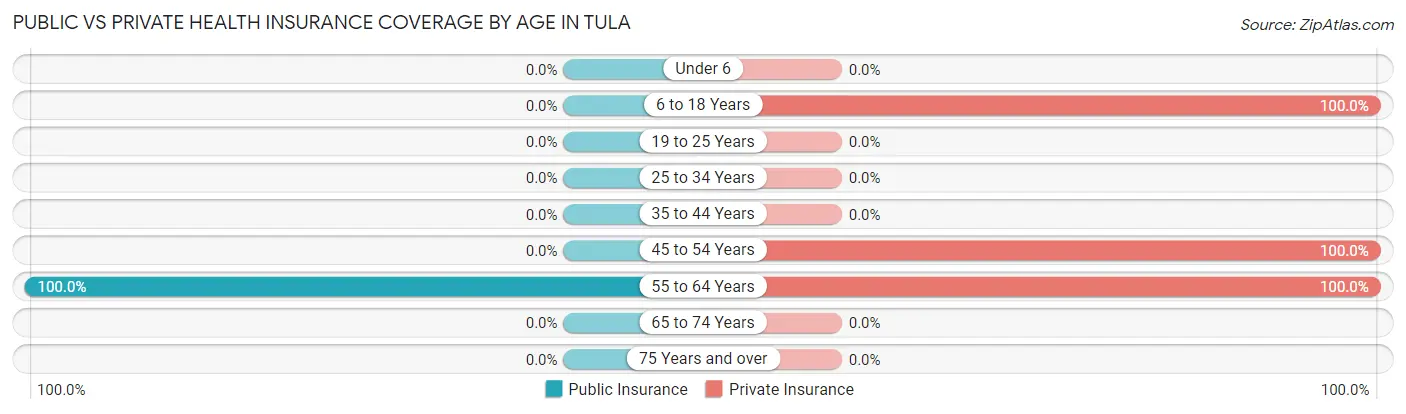 Public vs Private Health Insurance Coverage by Age in Tula