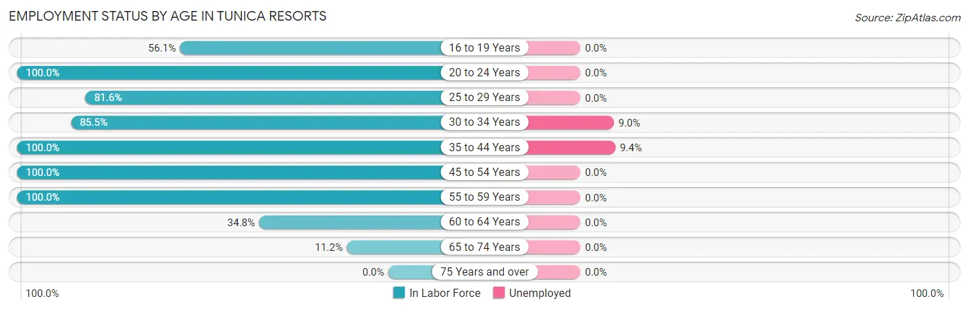 Employment Status by Age in Tunica Resorts