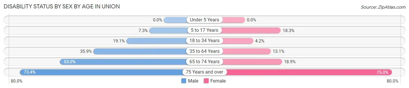 Disability Status by Sex by Age in Union