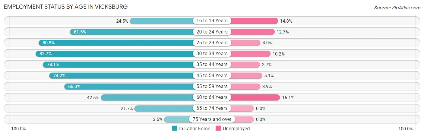 Employment Status by Age in Vicksburg