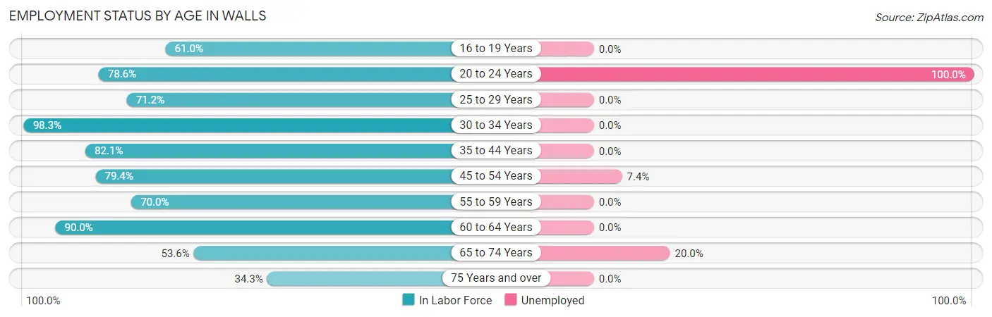 Employment Status by Age in Walls