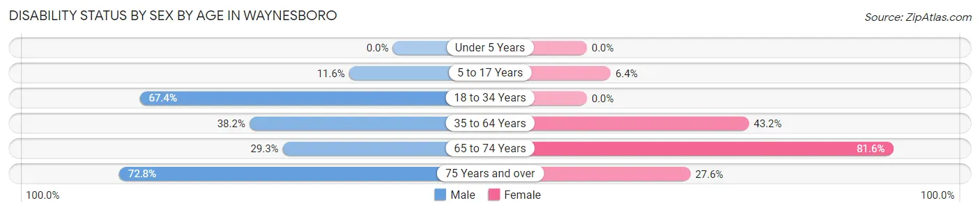 Disability Status by Sex by Age in Waynesboro