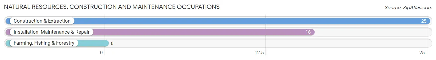 Natural Resources, Construction and Maintenance Occupations in Alberton