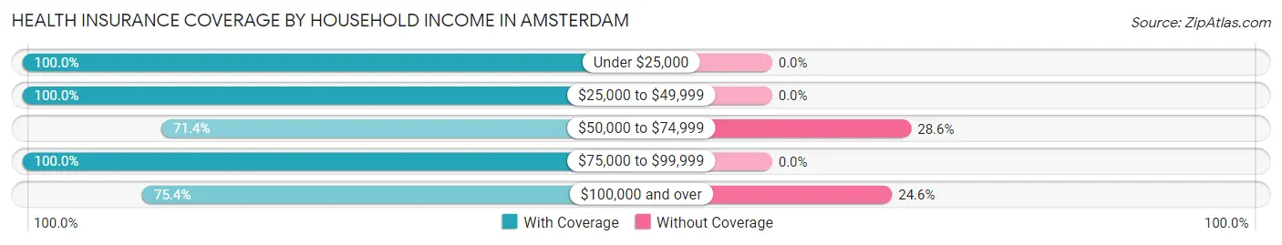 Health Insurance Coverage by Household Income in Amsterdam