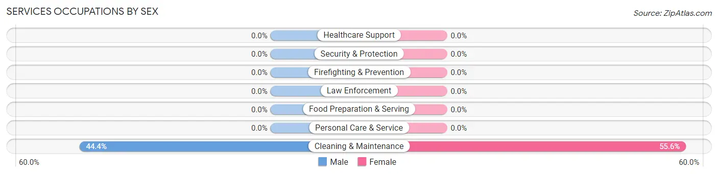 Services Occupations by Sex in Amsterdam