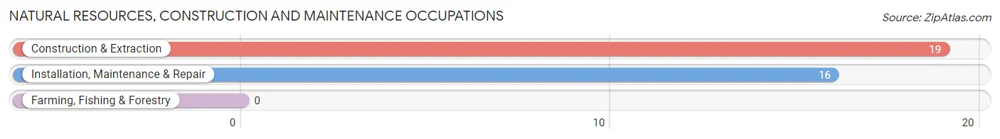 Natural Resources, Construction and Maintenance Occupations in Azure