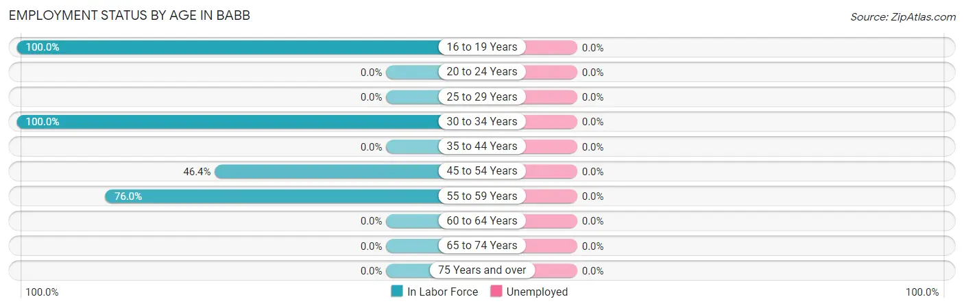 Employment Status by Age in Babb