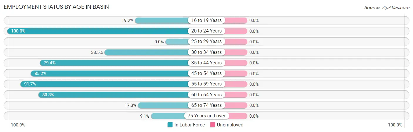 Employment Status by Age in Basin