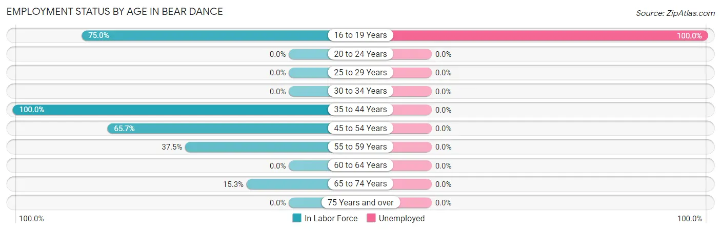 Employment Status by Age in Bear Dance