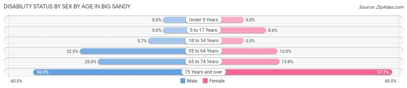 Disability Status by Sex by Age in Big Sandy