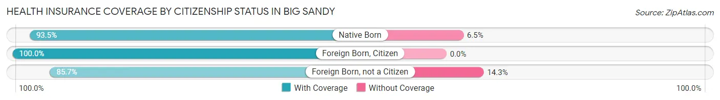 Health Insurance Coverage by Citizenship Status in Big Sandy