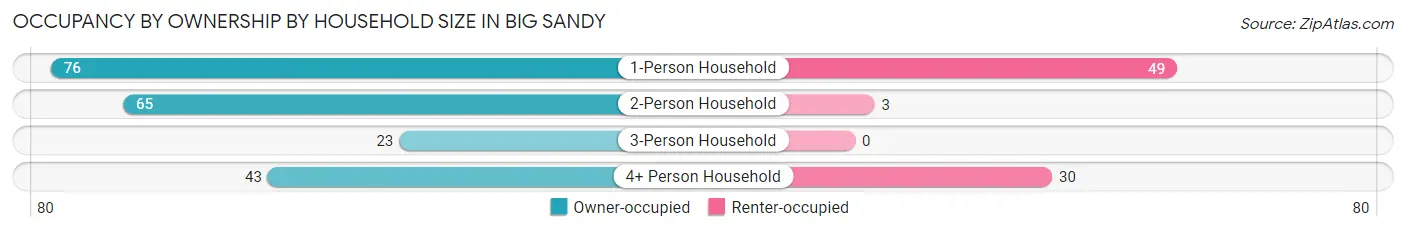 Occupancy by Ownership by Household Size in Big Sandy