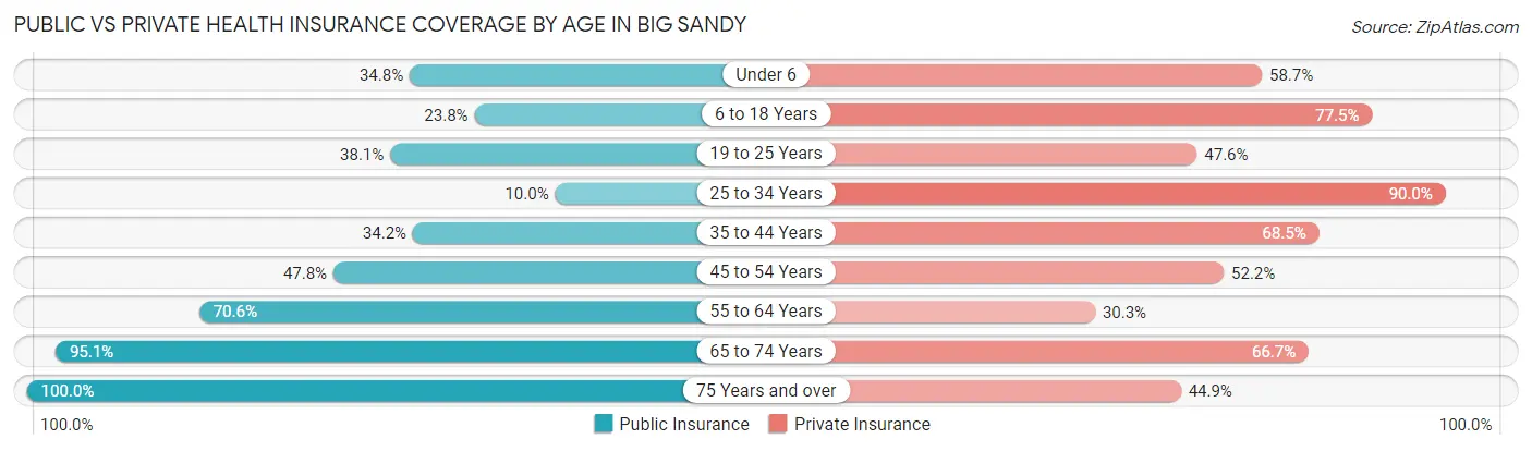 Public vs Private Health Insurance Coverage by Age in Big Sandy