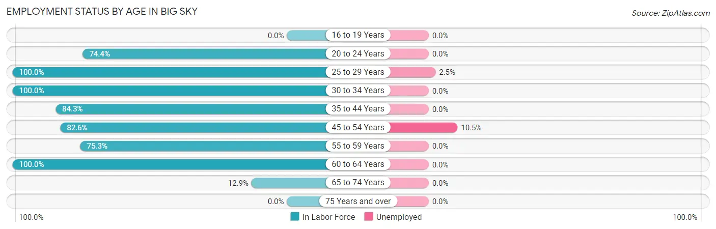Employment Status by Age in Big Sky