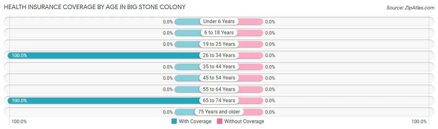Health Insurance Coverage by Age in Big Stone Colony