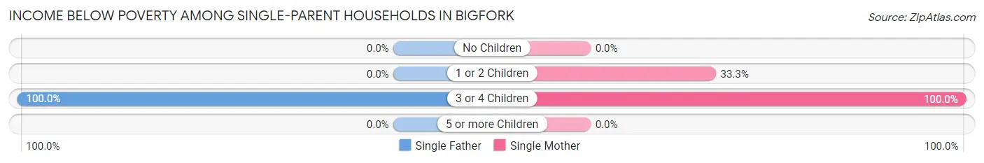 Income Below Poverty Among Single-Parent Households in Bigfork