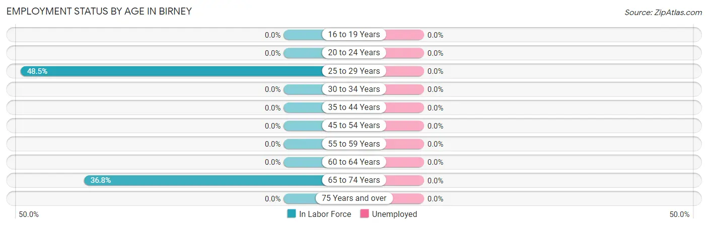 Employment Status by Age in Birney