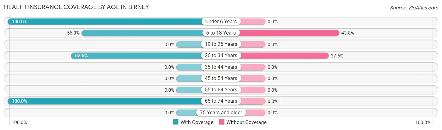 Health Insurance Coverage by Age in Birney
