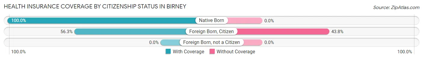 Health Insurance Coverage by Citizenship Status in Birney