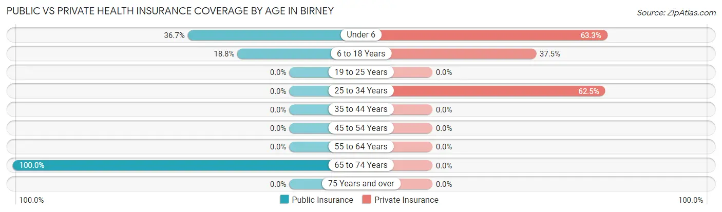 Public vs Private Health Insurance Coverage by Age in Birney