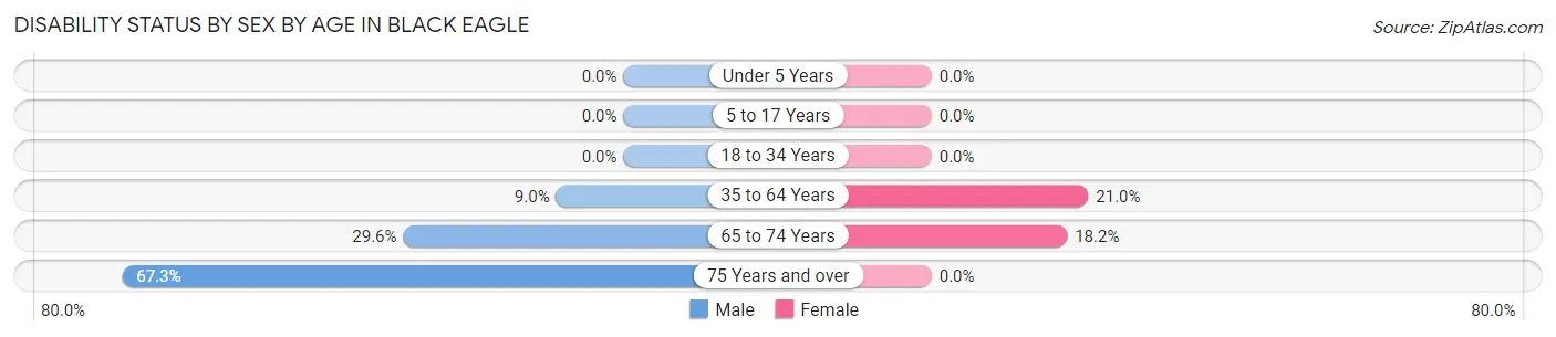 Disability Status by Sex by Age in Black Eagle