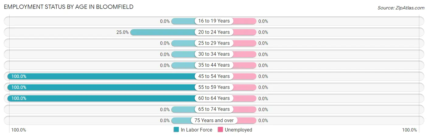 Employment Status by Age in Bloomfield