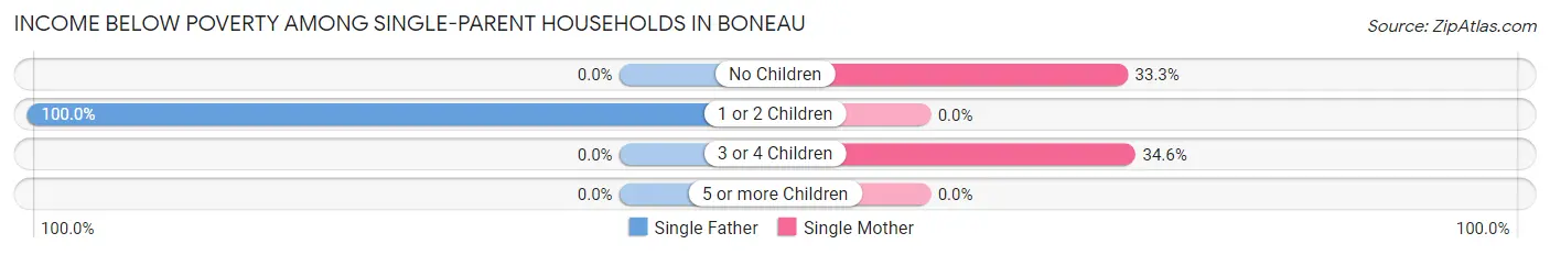 Income Below Poverty Among Single-Parent Households in Boneau