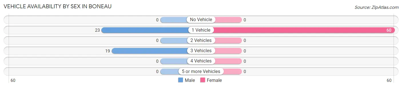 Vehicle Availability by Sex in Boneau