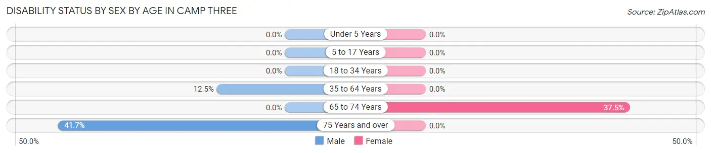 Disability Status by Sex by Age in Camp Three