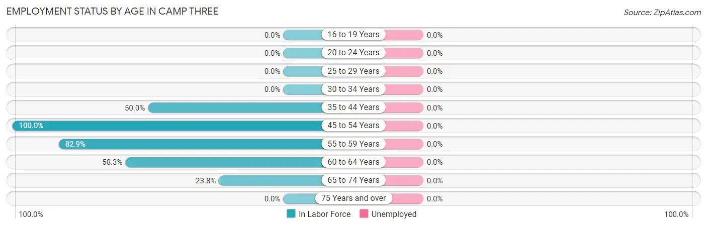 Employment Status by Age in Camp Three