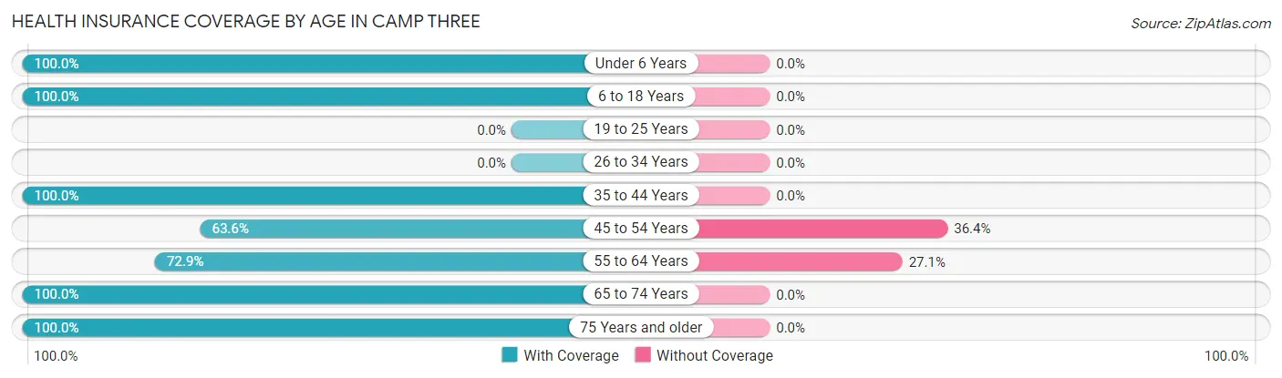 Health Insurance Coverage by Age in Camp Three