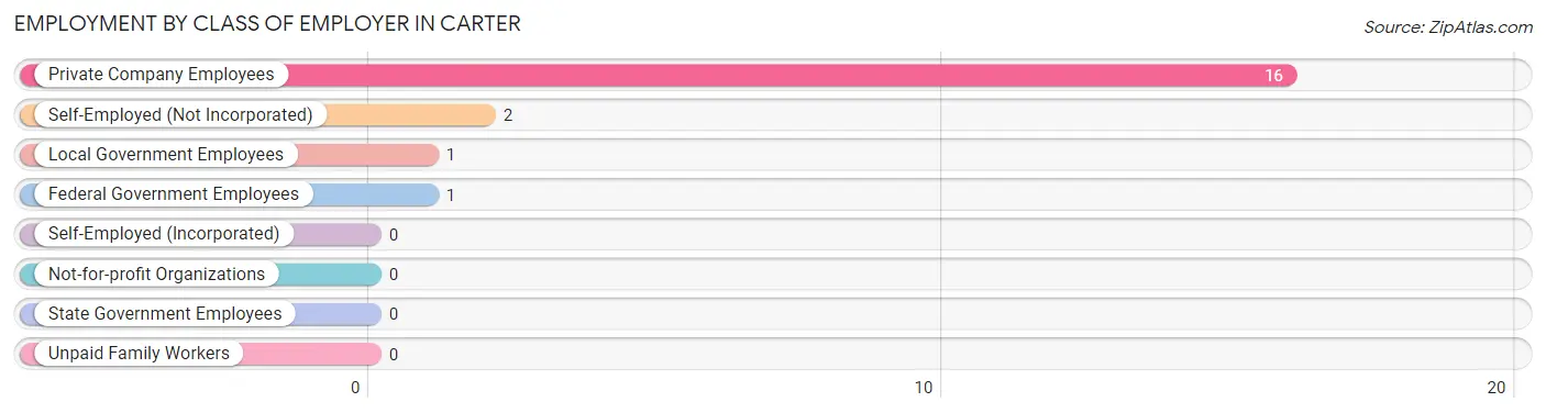 Employment by Class of Employer in Carter