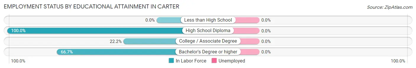 Employment Status by Educational Attainment in Carter