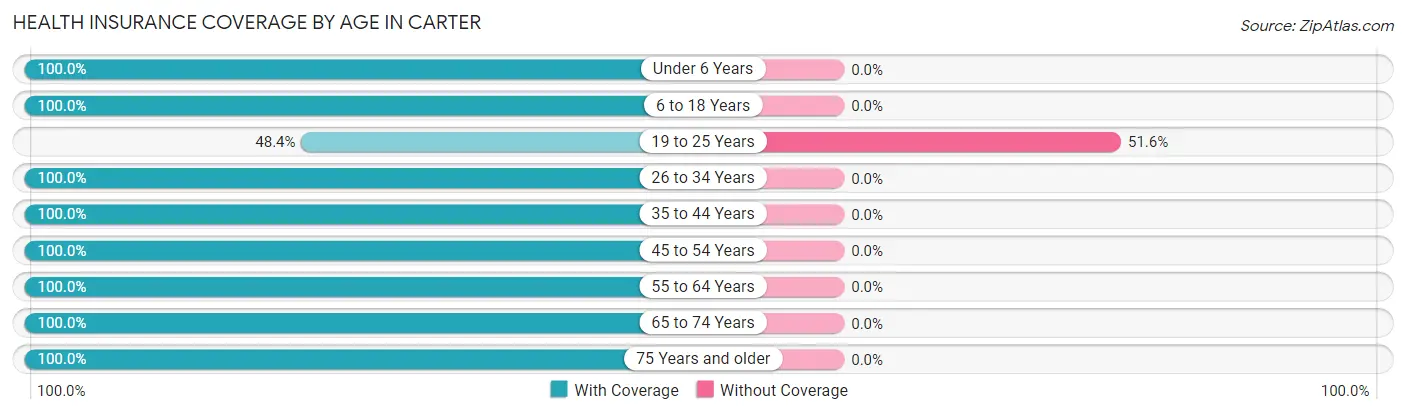 Health Insurance Coverage by Age in Carter