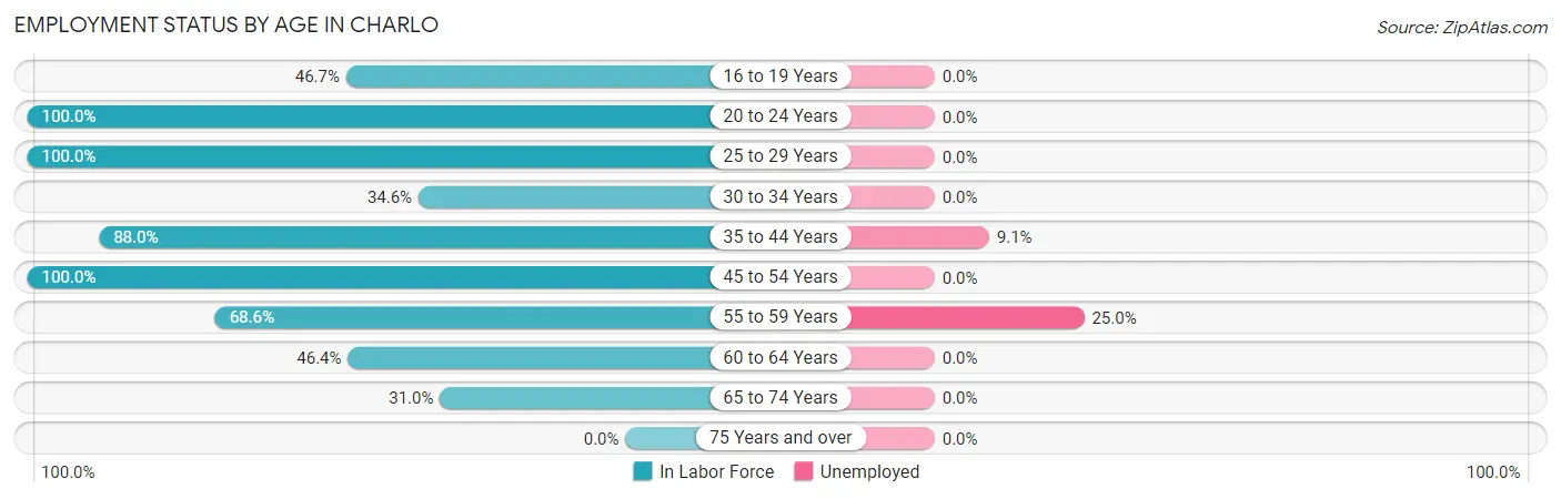 Employment Status by Age in Charlo