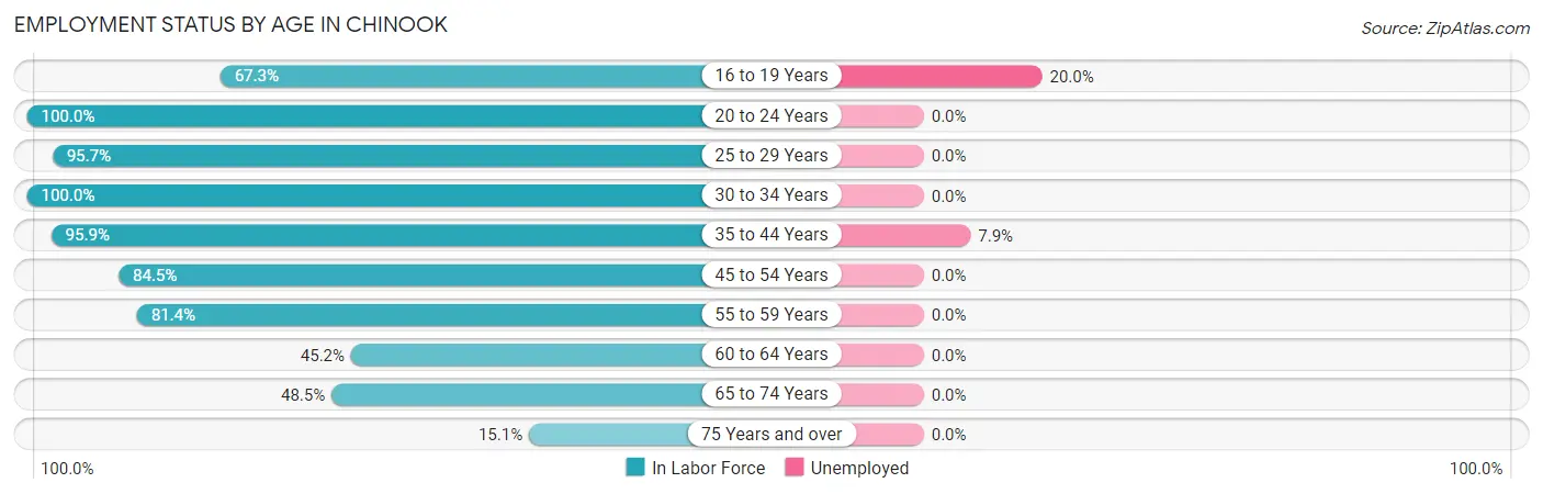 Employment Status by Age in Chinook