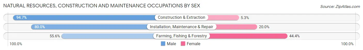 Natural Resources, Construction and Maintenance Occupations by Sex in Churchill