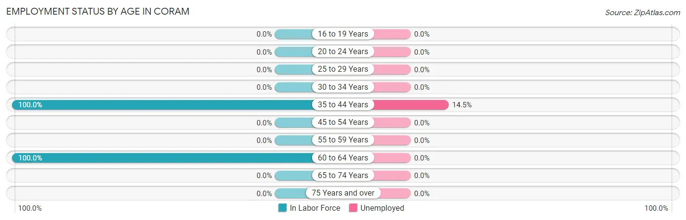 Employment Status by Age in Coram