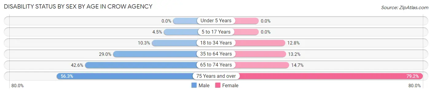 Disability Status by Sex by Age in Crow Agency