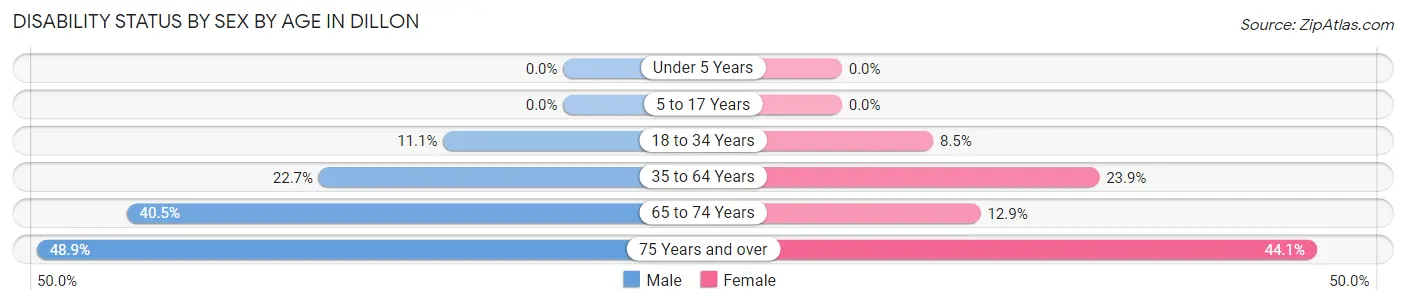 Disability Status by Sex by Age in Dillon