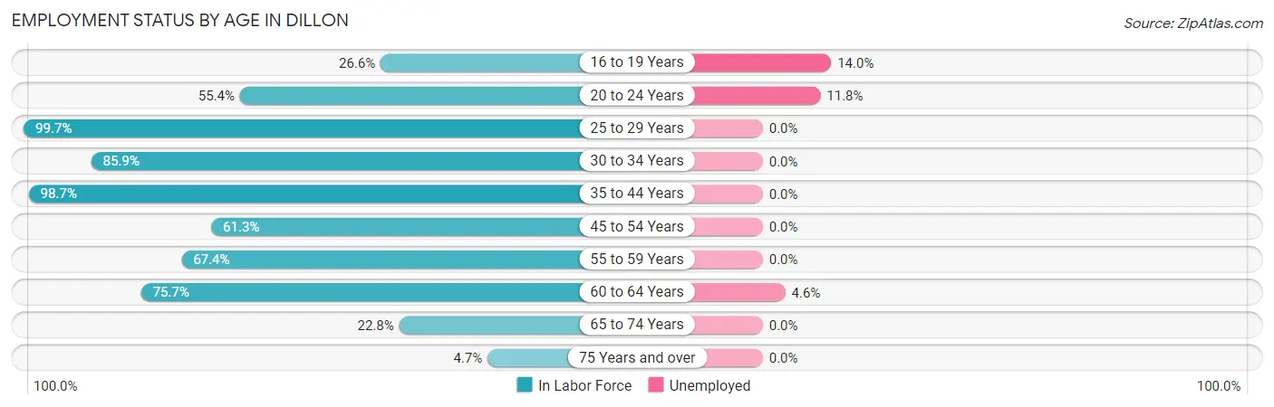 Employment Status by Age in Dillon