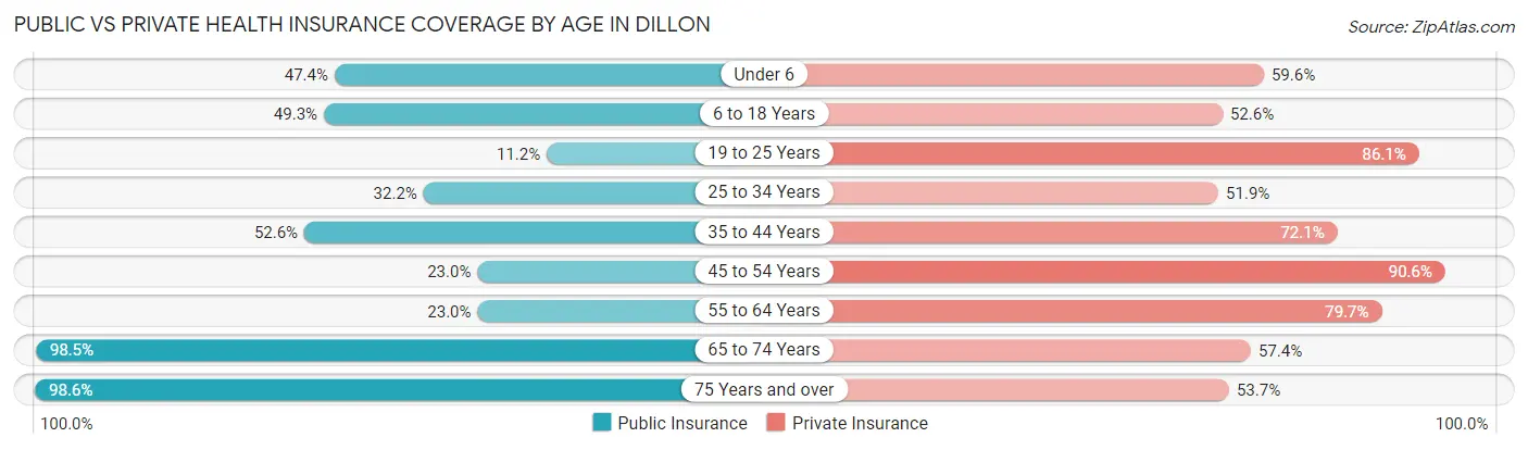 Public vs Private Health Insurance Coverage by Age in Dillon