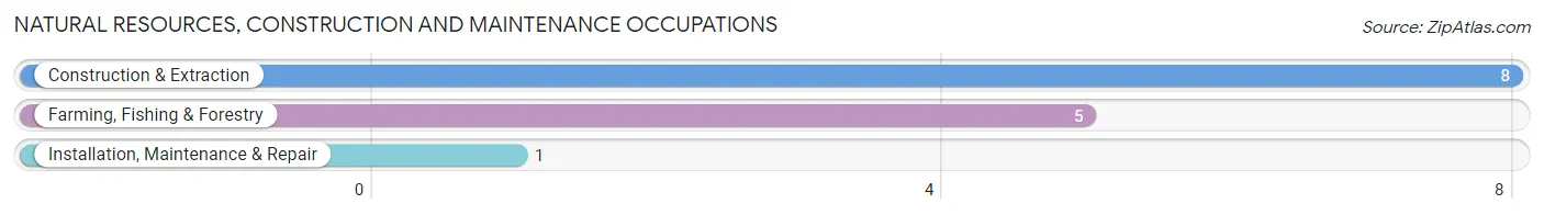 Natural Resources, Construction and Maintenance Occupations in Drummond