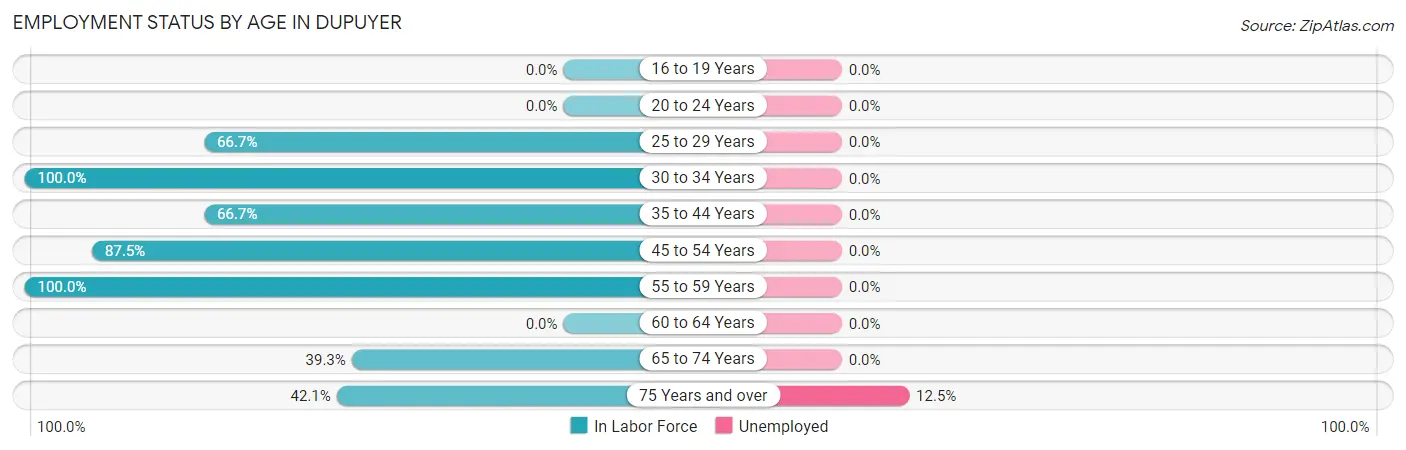 Employment Status by Age in Dupuyer